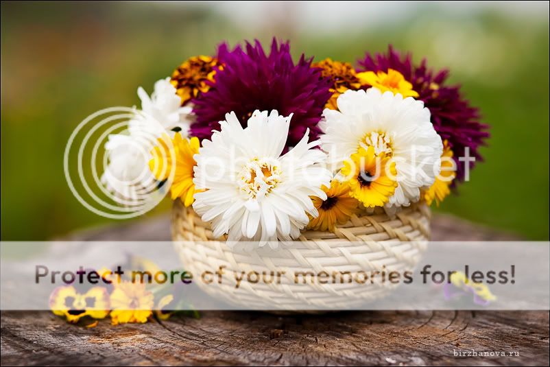 профессиональный фотограф